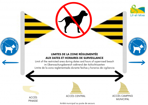 V5_Interdiction chiens plage.png