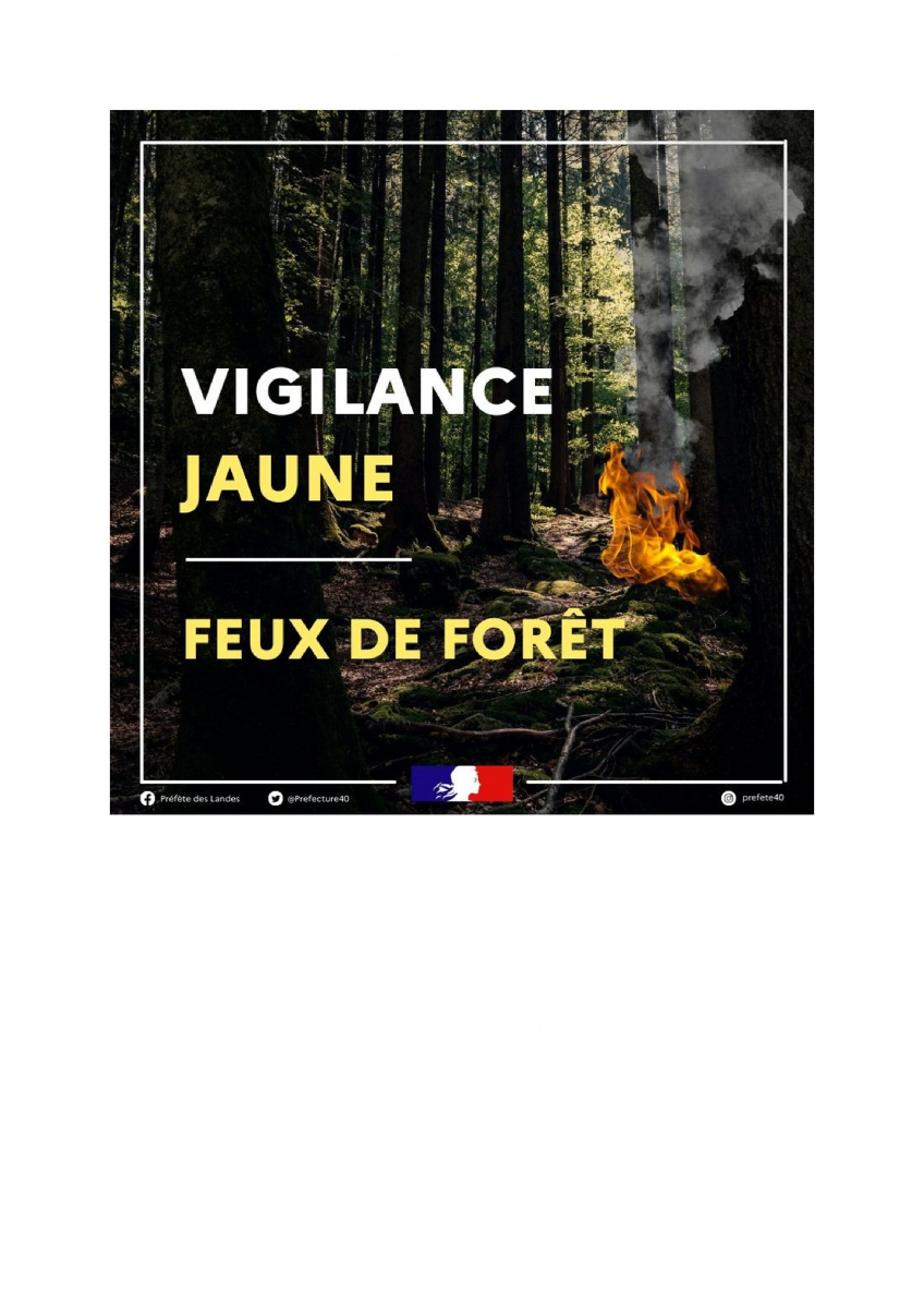 Vigilance Jaune Feux de Forêt_0.jpg